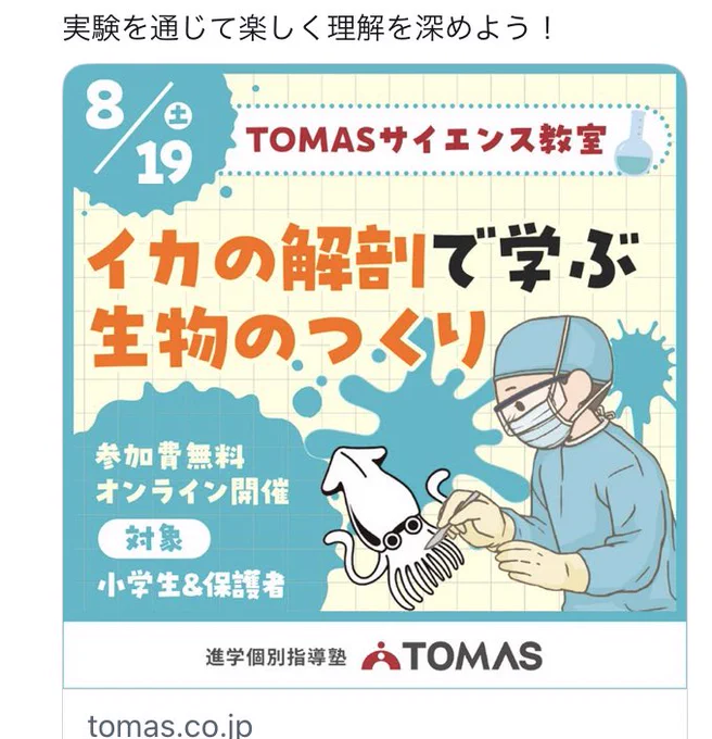 この前イカうめーって呟いたせいだな…(プロモ) 