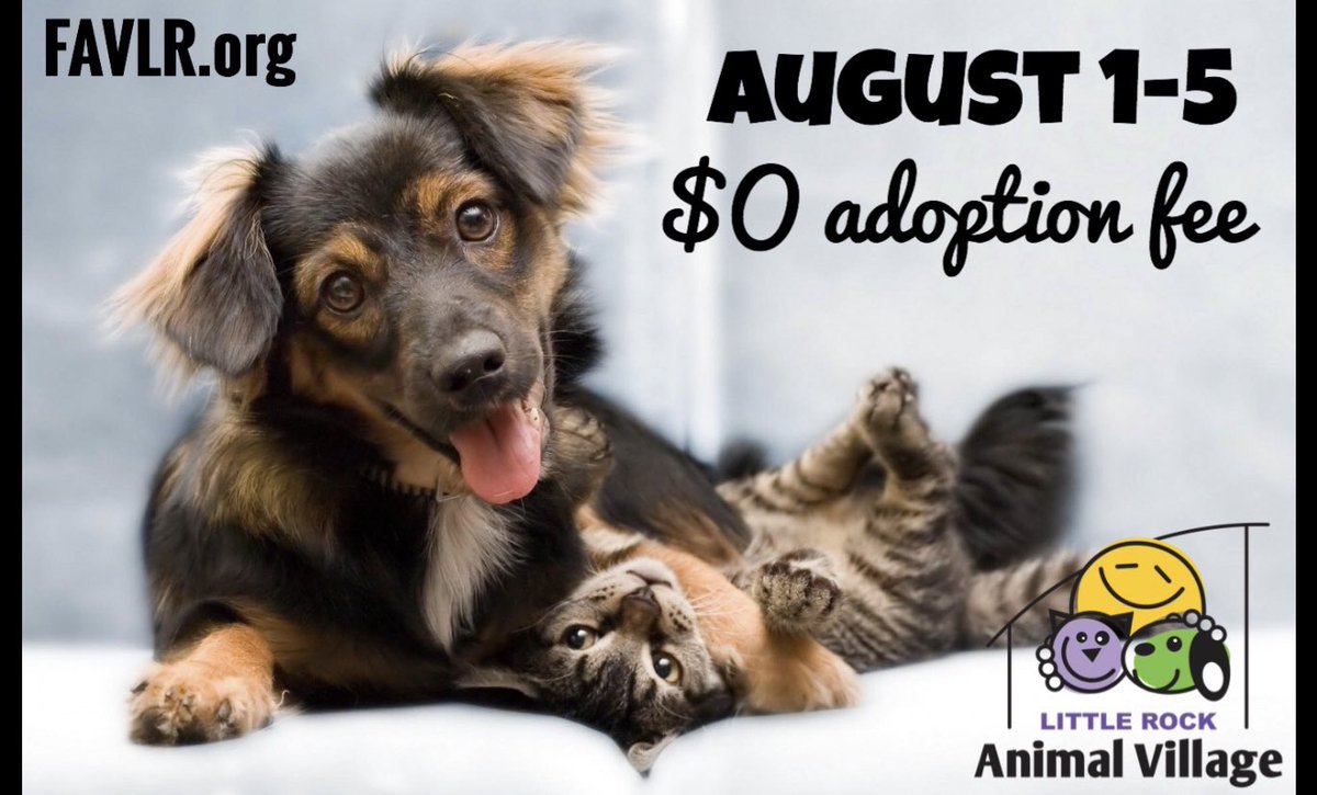FAV_LR's tweet photo. LAST day for FREE adoptions is tomorrow!!! 60 pets adopted so far this week!! Can we make it 100?! https://t.co/TOuhngXn3Q #littlerock #ar #barkansas https://t.co/FnRqHf6aiW