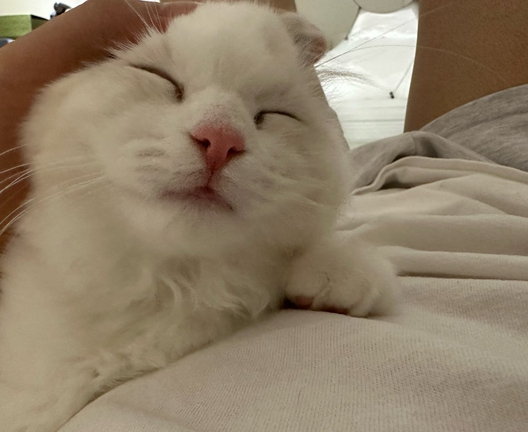 the813Degrees's tweet photo. ตายิ้มเหมือนมะมี๊เยย https://t.co/zRBa5r7w6B