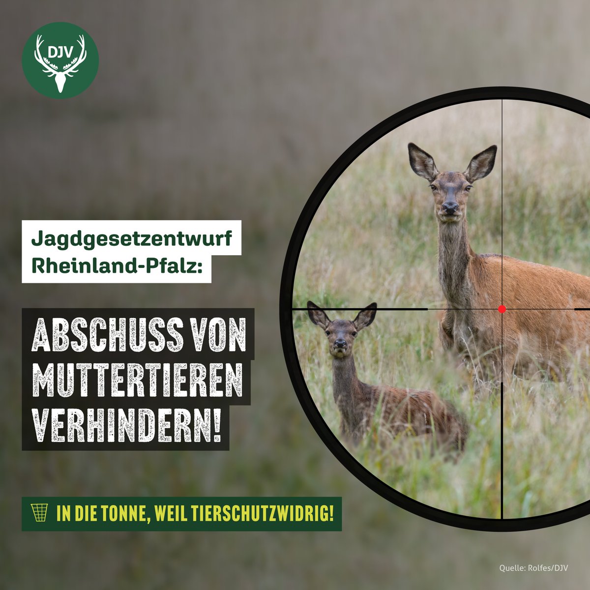 DeutscherJagdverband tweet media