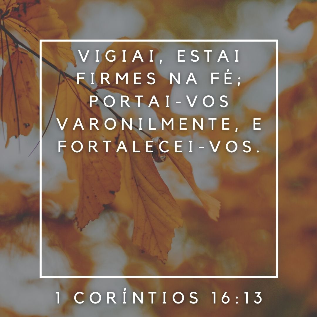 FernandoMayrink's tweet image. A paz do Senhor a todos! 📷

Não vacilem! Estejam atentos! Comportem-se com a certeza da vitória em Cristo e não deixem nada lhes desanimarem.

Ótima sexta feira para todos nós.

#Deusnocomando #Vigiar #EstarFirme
