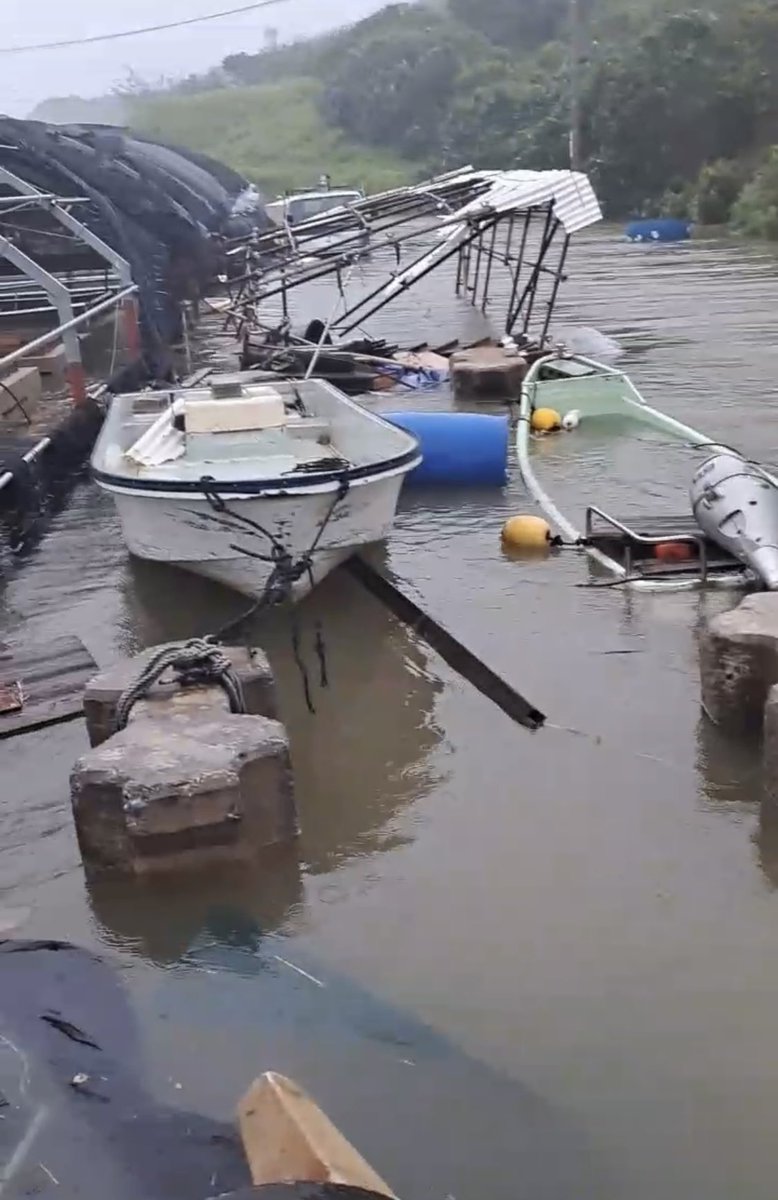 HACHI_KOH_'s tweet photo. 南城市の養殖場、壊滅的な被害を受けました。

動画、海に見えますが養殖場内です
本来4つある池が全て波にのまれて一つの海のようになっています。

今後については未定です。

この被害を多くの方に伝えたいです。ツリーにその他の写真も載せておきます。
拡散お願いします。

#台風6号　#沖縄台風 https://t.co/3mqIrMHfy3