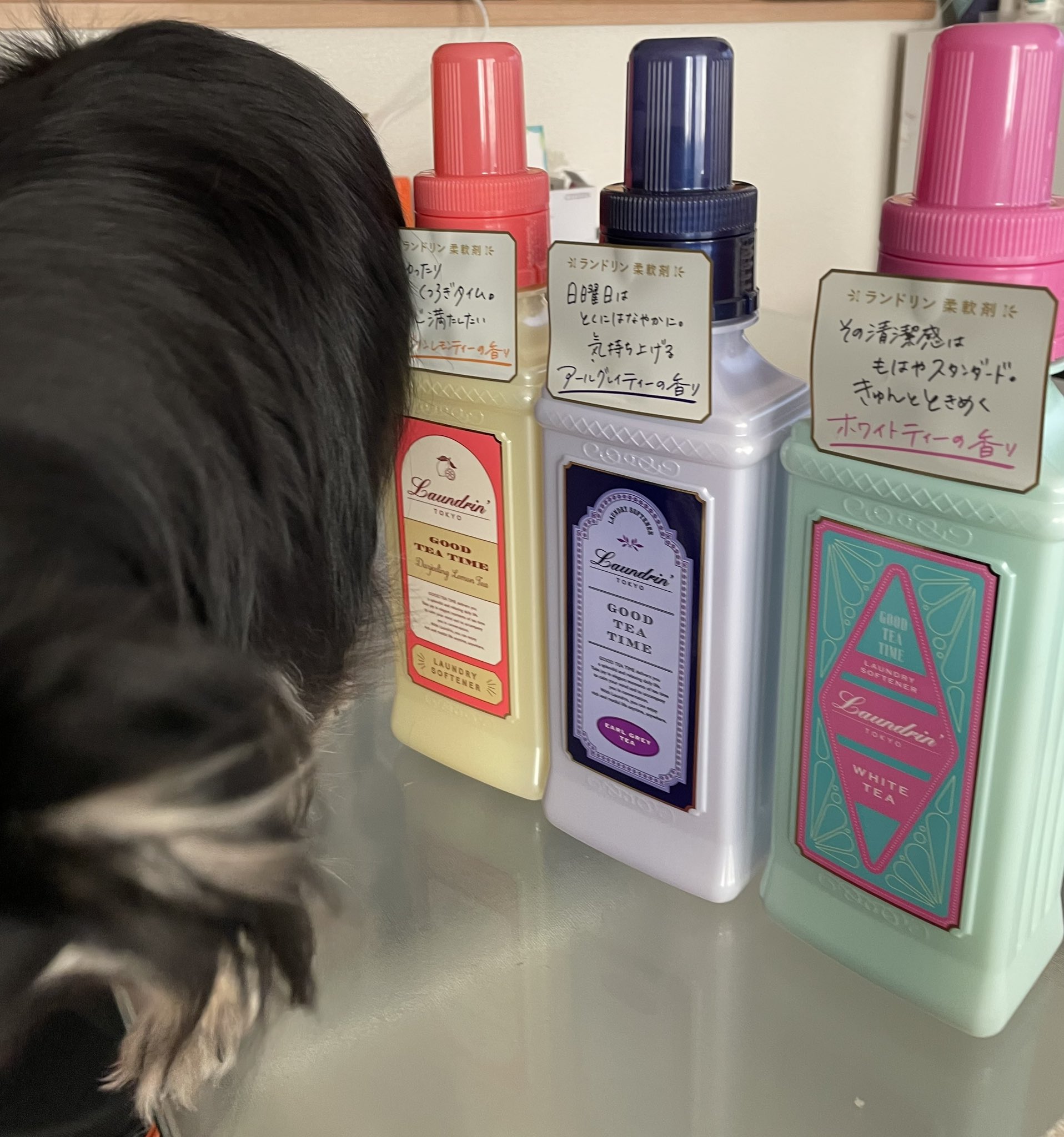 pony (@pony01644798) / X