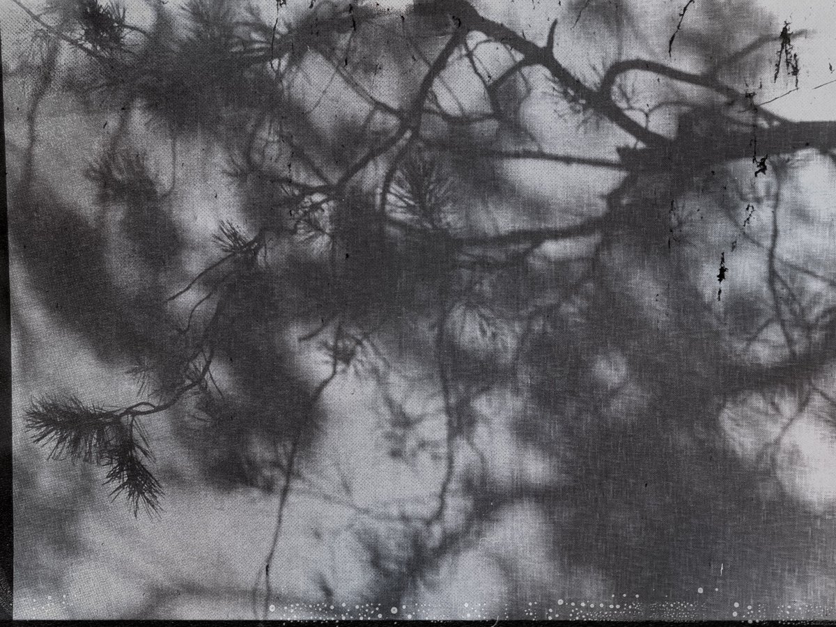 mrystark's tweet image. Gm! Happy to share with you my artwork for the #photez thematic collection “Shadow” 🖤

10/10 ~ 6 xtz 

Portion of proceeds supporting the community art fund