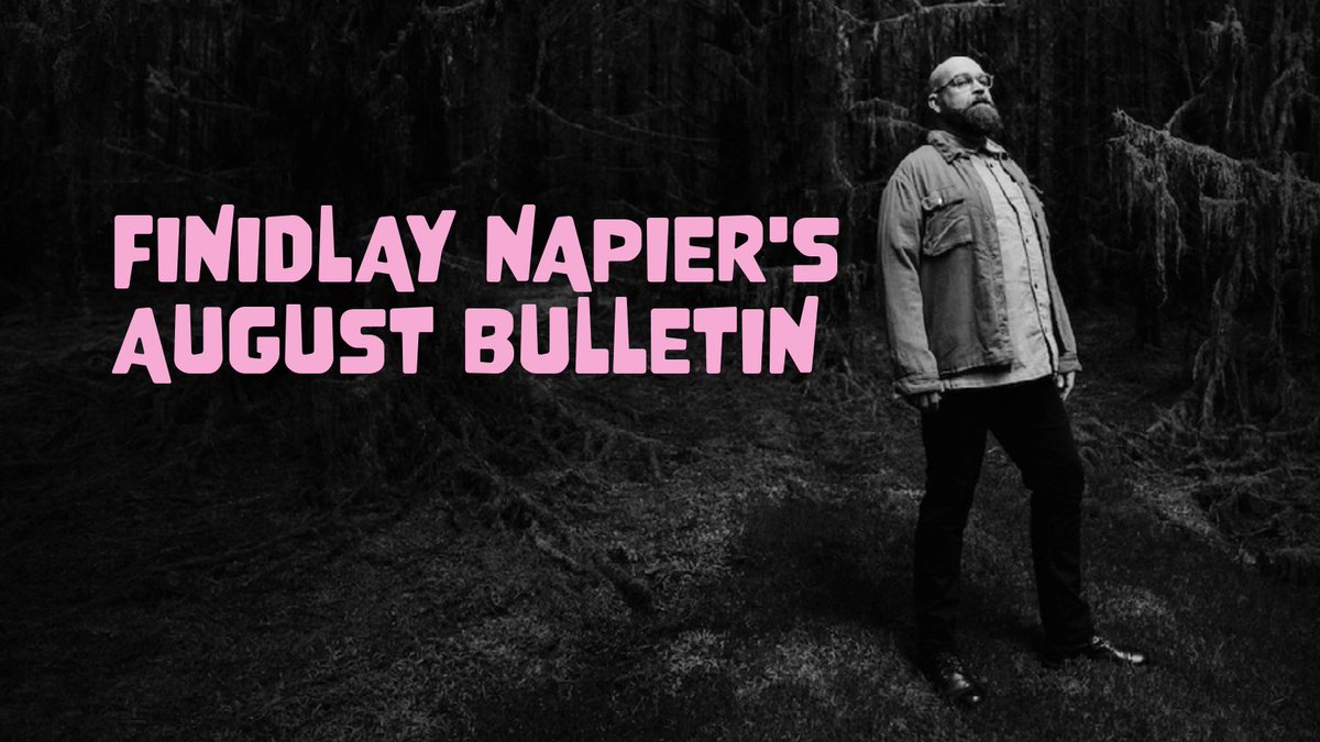 findlaynapier tweet media