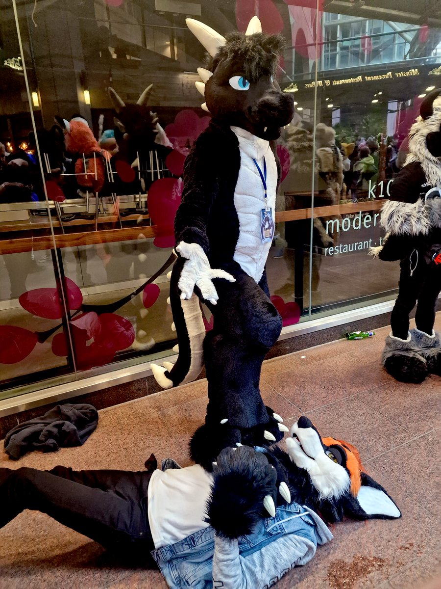 Some random pictures from London Furs Summer Party for this #FursuitFriday 👀