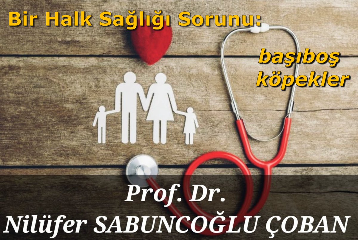 Çok değerli bilim insanı, Atatürk Üniversitesi Veteriner Fakültesi Zootekni ve Hayvan Besleme Anabilim Dalı Öğretim Üyesi Prof. Dr. Nilüfer Sabuncuoğlu Çoban @NiluferSabuncu; DHA'ya, başıboş köpekleri halk sağlığı riski açısından da değerlendirdiği bir röportaj verdi.…