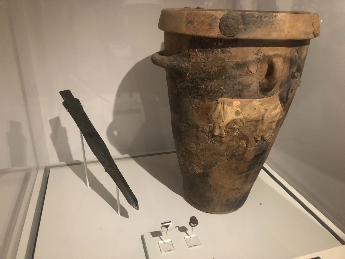 Tom the Scribbler 🇵🇸 🏳️‍⚧️ tweet media