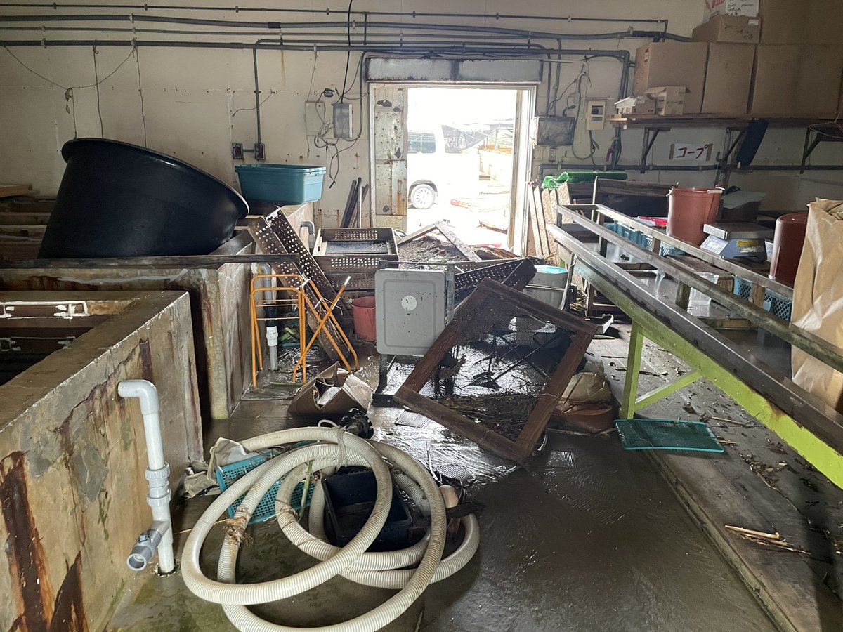 HACHI_KOH_'s tweet photo. 出荷場もこの有り様です。

正直まだ被害の全貌も見えず放心状態ですが、復興に向け頑張ります

この後も暴風域は続きますので皆様お気をつけください

#台風6号　#沖縄台風 https://t.co/0AOL2DCFHK