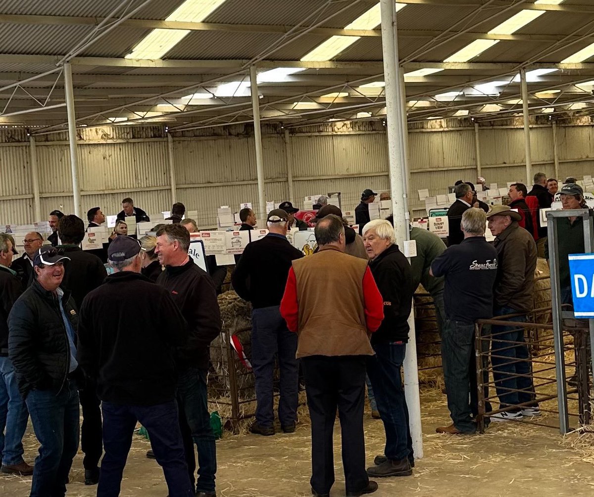 ‘23 Narrogin Long Wool Day

Congratulations to the breeders, there were a lot of magnificent sires on display. 👏

Understandably, current sheep prices were a hot topic in the shed - support years of breeding &amp; genetics &amp; get along to upcoming sales. 🐑

#genetics #merino #wa