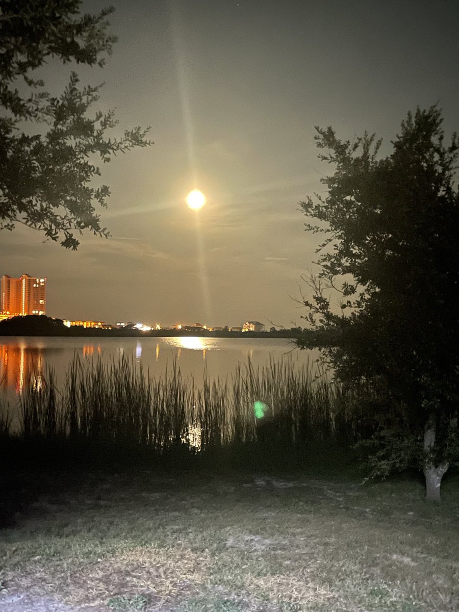 LBrumbe's tweet image. Thank You for another great vacation Gulf State Park.