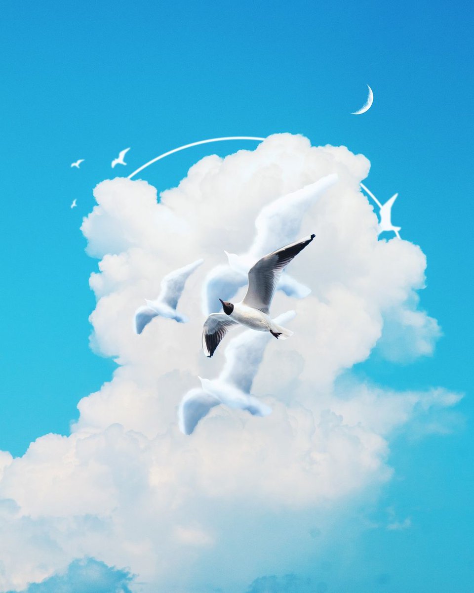 Al Barizi 💙 tweet media