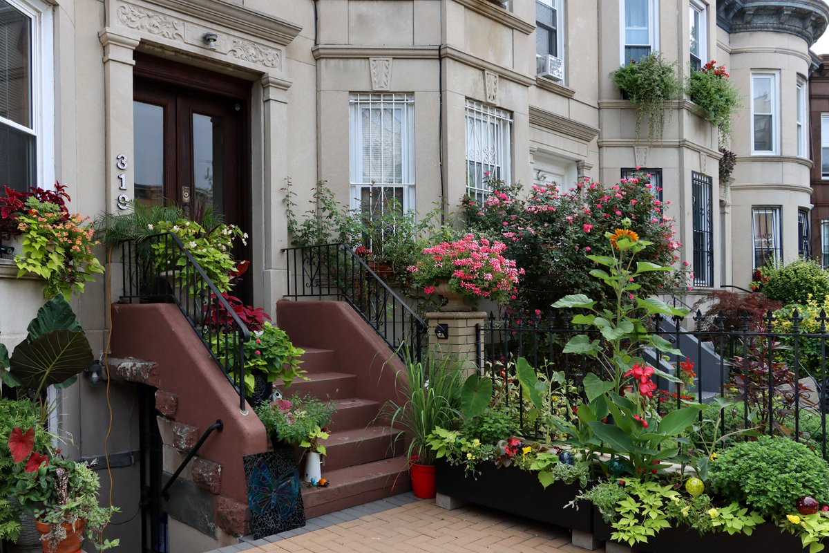 studiotinker's tweet image. Always look forward to @BrooklynBotanic&apos;s Greenest Block in Brooklyn announcement as i means lots of plants to admire
brownstoner.com/brooklyn-life/…