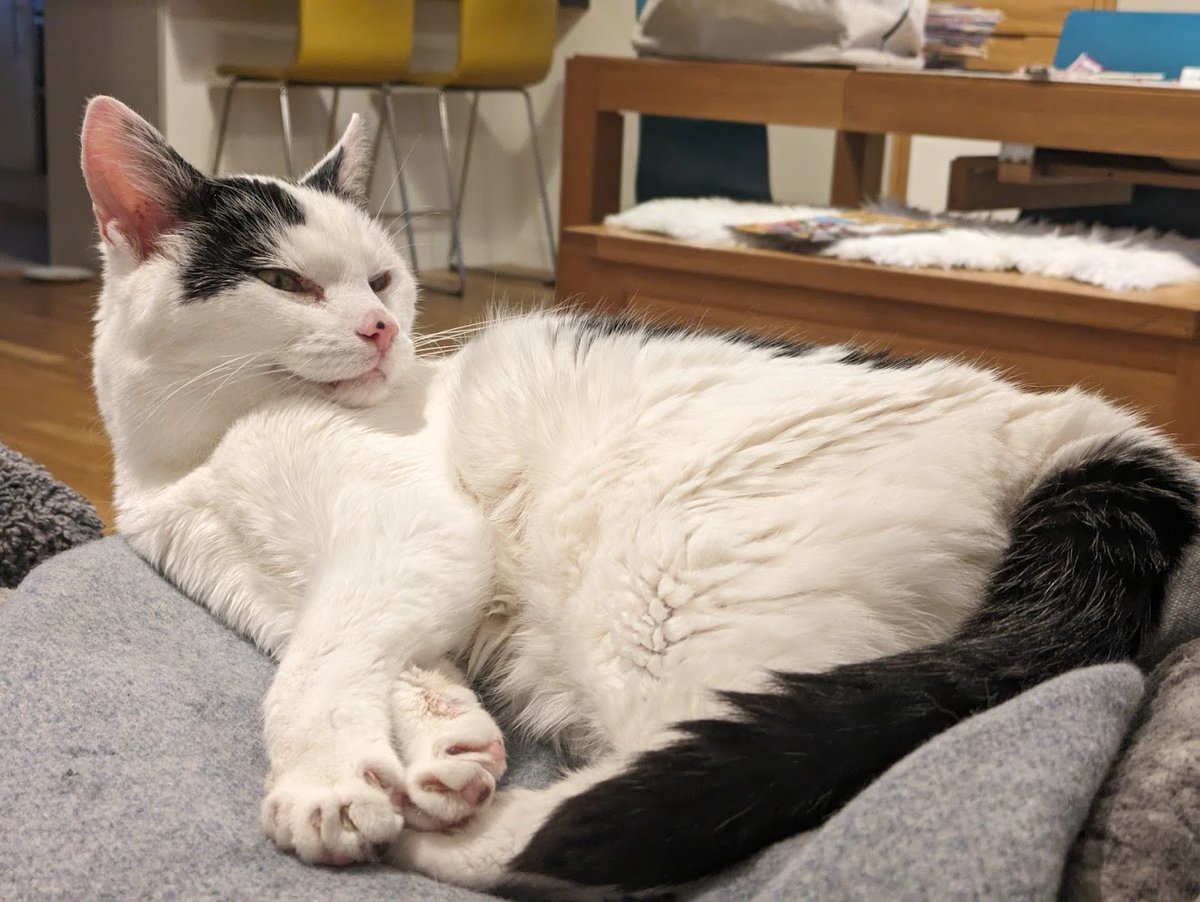 Simon Handby tweet media