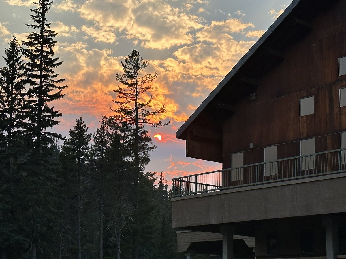 lord_balls's tweet image. It’s Waldo 100K weekend. I directed my first race ever here in 2002. I’ve tried to retire from directing it several times but I keep unretiring. So many awesome friends really make this race happen. Race begins at 4:00 am PDT tomorrow. #waldo100k ultralive.net/waldo