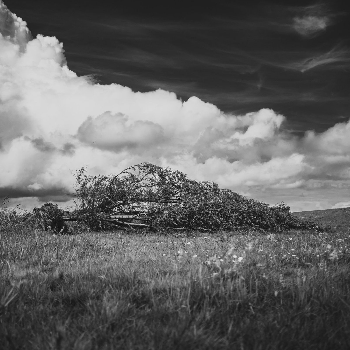 De wolken op deze! 😍 
Vanmiddag onderweg gefotografeerd 😎