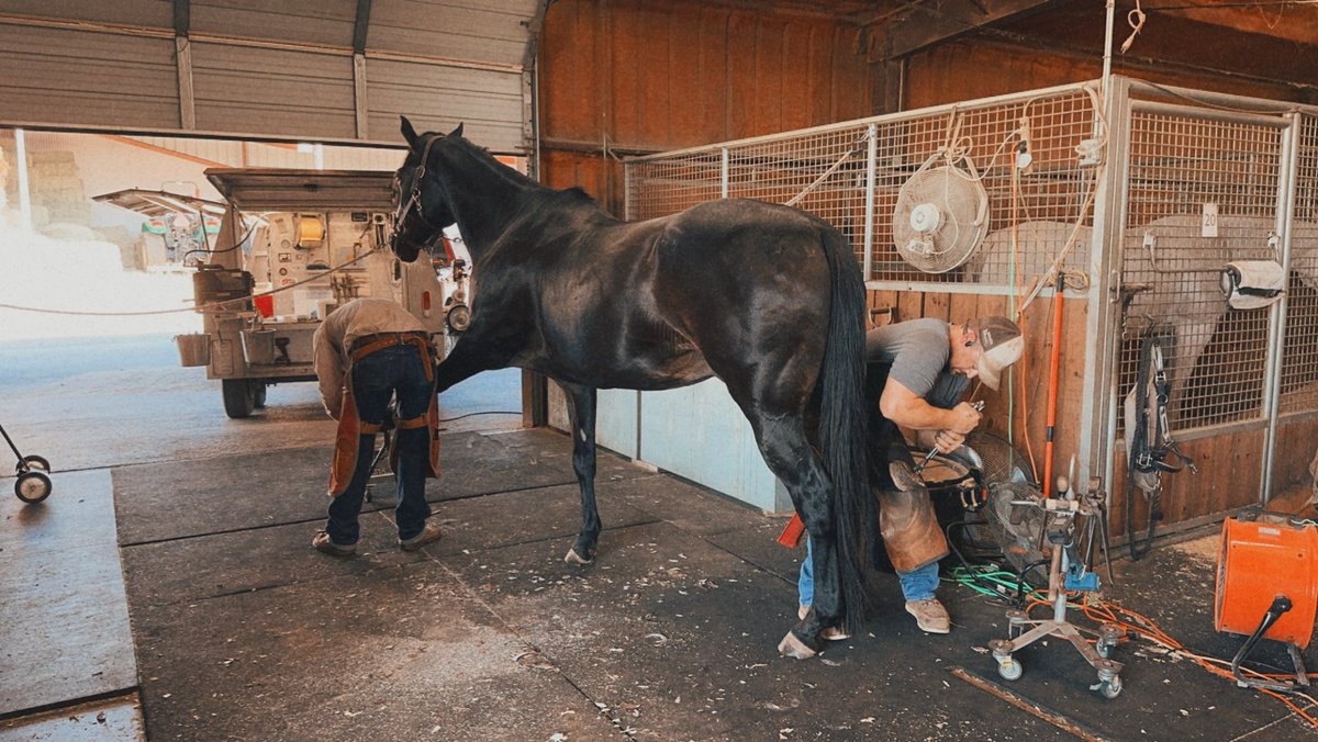 𝚑𝚒𝚐𝚑 𝚘𝚏𝚏 𝚌𝚛𝚢𝚜𝚝𝚊𝚕 𝚖𝚎𝚝𝚑 tweet media