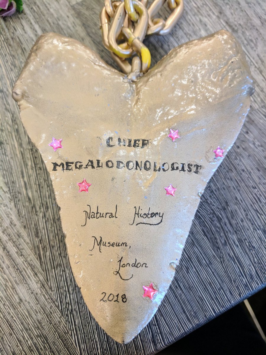 One of the best gifts I've received whilst working is my meg-dallion (3D print of a real tooth) from <a href="/10Tackles/">Amy Scott-Murray</a> 
Chief Megalodonologist definitely need to be added to my job title! 🦈
<a href="/MegMovie/">Meg 2</a>
<a href="/meg82159/">Steve Alten</a>
#Meg2 #megalodon #FossilFriday