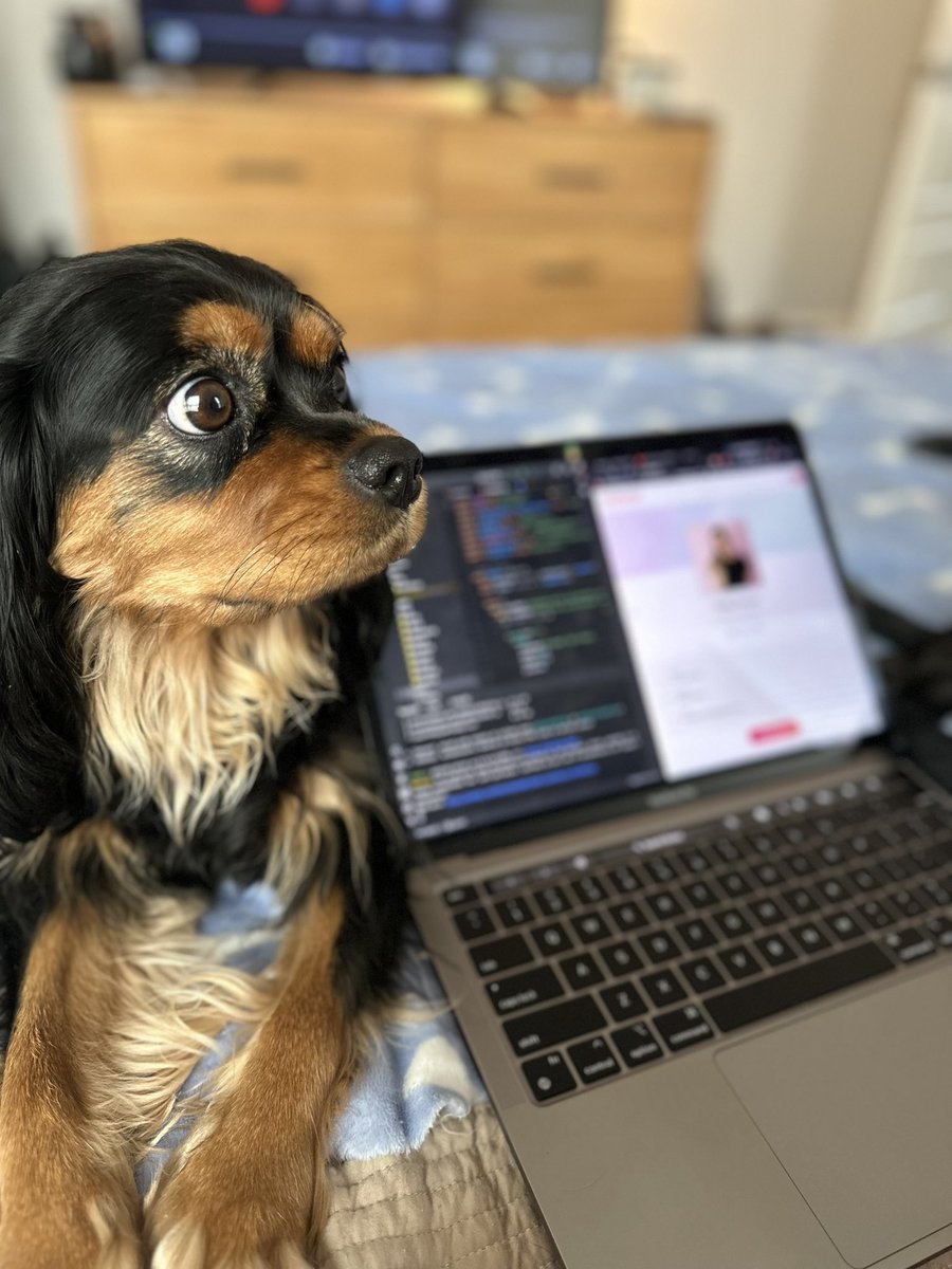 HaleyDemos's tweet photo. Website portfolio &amp; job hunt kinda day 👩🏼‍💻 Still immensely sad about Altos massive layoff but using this energy to stay motivated to move on to bigger things ✨~manifesting~✨ https://t.co/JikeQL6AHh