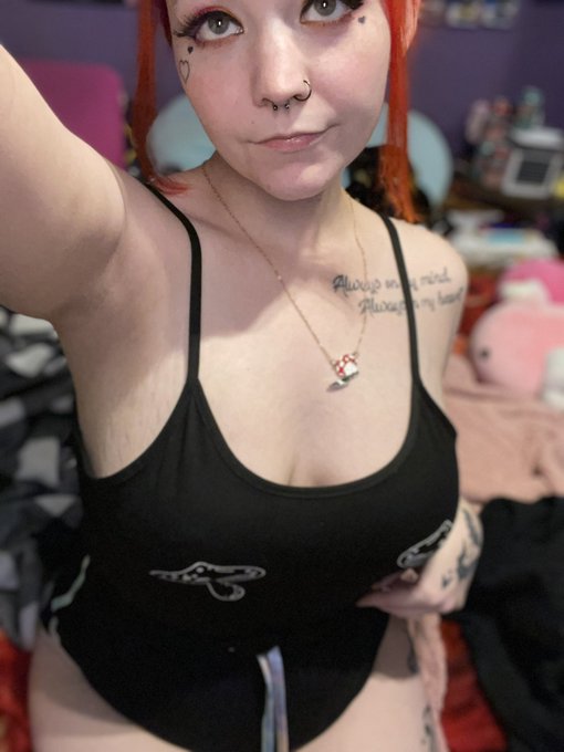 Lylacuteasducks