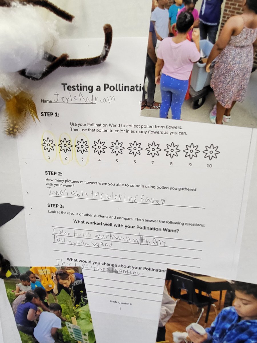 REBEKKAHENRIKS3's tweet photo. MLK 3rd graders in Ms. Izzo's class chose their #Farm2School unit to feature during their SEP showcase today! Look at some of those pollinator wands they engineered &amp; tested on flowers from the #schoolgarden. #SchenectadyRising https://t.co/ThdGYTHOgx