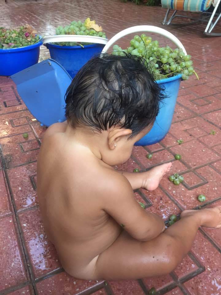 Santiagodelalam's tweet photo. Mis cachorros de vendimia en el patio de la Sol  😍  
Mis #Icues maman #Mediterráneo por los cuatro "costaos"
#PuertodeMazarrón 
#CostadeCartagena 🇩🇰 https://t.co/kgngsrrLgV