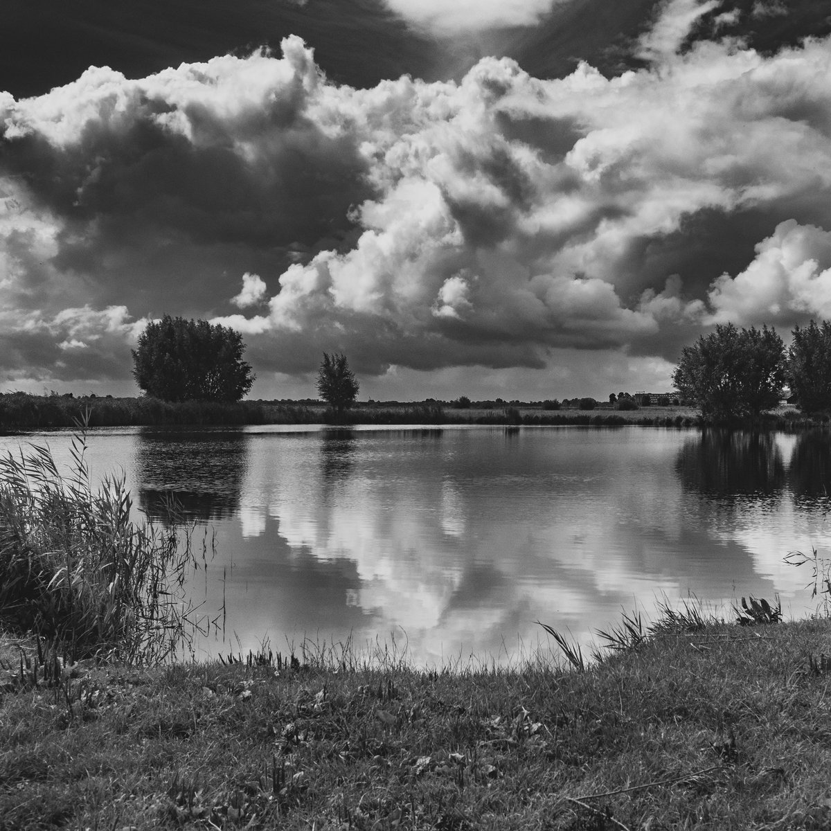 Thornspiccerpad II 📷