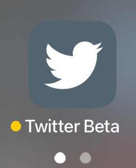 laspecas's tweet photo. Name in the TestFlight Beta has been changed but no update yet… https://t.co/T9TxlzBkGW