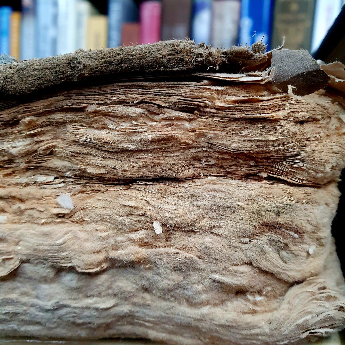 Half the pages in this book appear to have turned back into the rags they were made from.