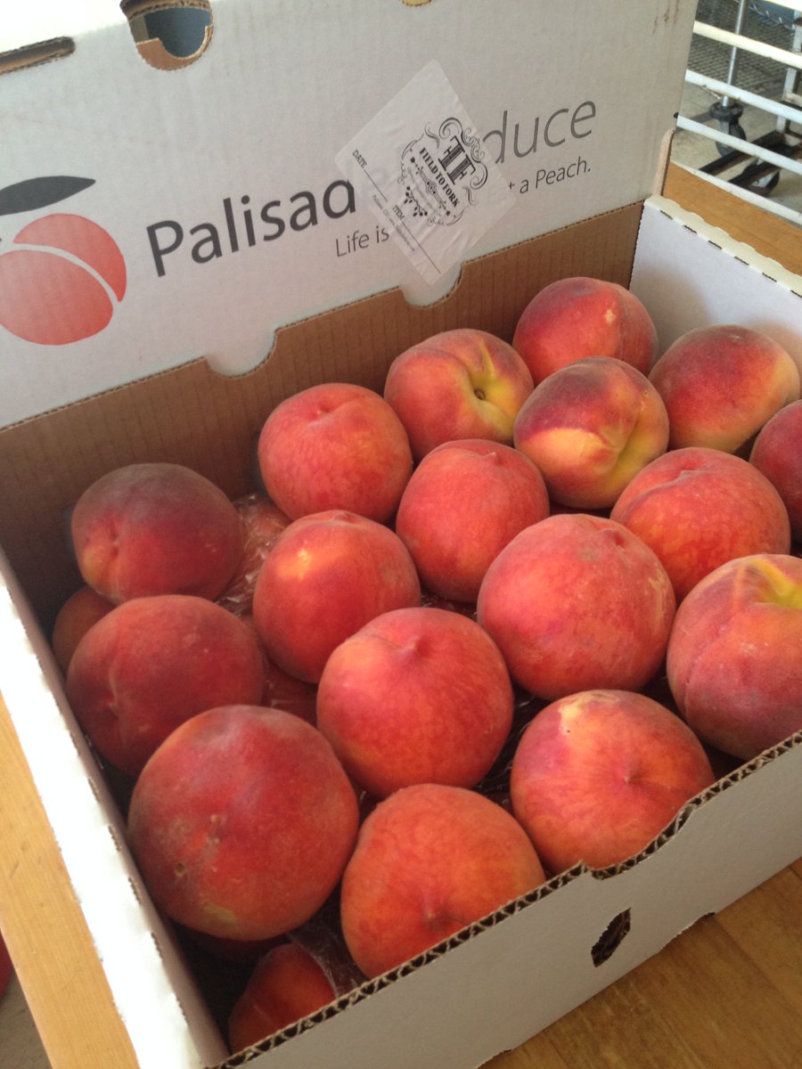 MainStBagels's tweet photo. #Palisade Peach cinnamon rolls, Scones and Cream cheese Schmear! It's peach season! @GJCity https://t.co/CBDnfnKYTN