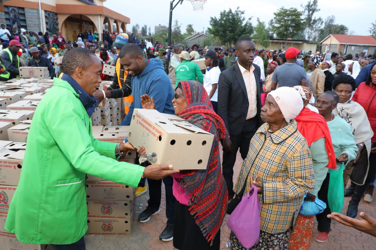 KWamatangi's tweet photo. Asante sana Githurai.
We delivered kienyeji chicks in Githurai
The birds are being distributed in all 60 wards as part of our social-economic development agenda. https://t.co/YBbuXohSzZ