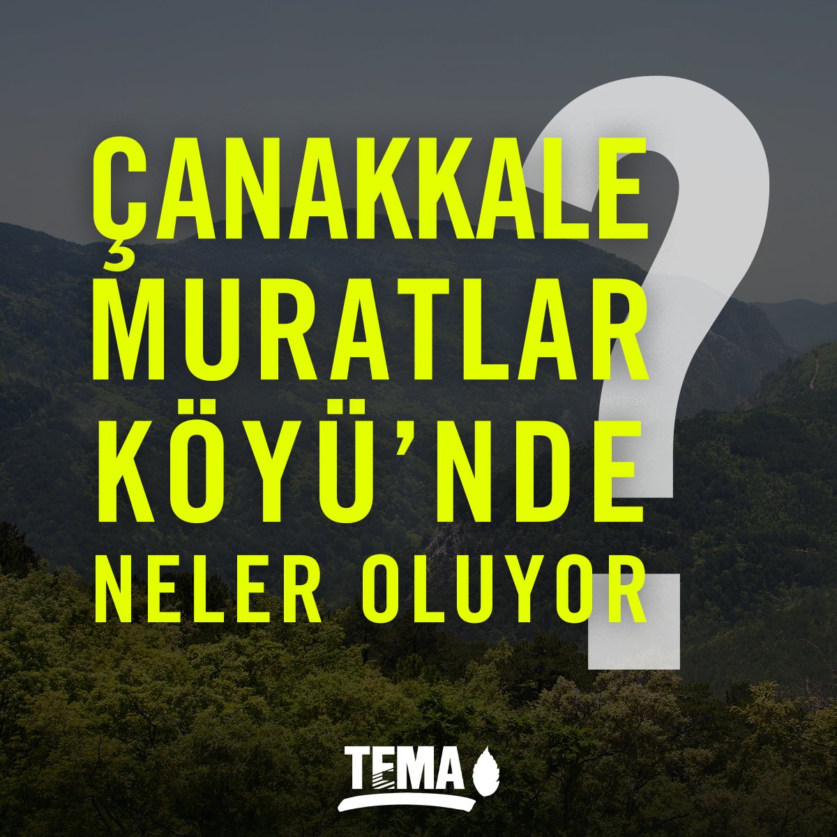 temavakfi's tweet photo. Çanakkale’nin Bayramiç İlçesi’ne bağlı Muratlar Köyü’nde başlayan ağaç kesimi Halilağa Bakır Madeni’nin proje alanında bulunuyor. 

📌Projeye ait ilk Çevresel Etki Değerlendirmesi (ÇED) Olumlu kararını iptal ettirmiştik. https://t.co/LQfe62jbxo