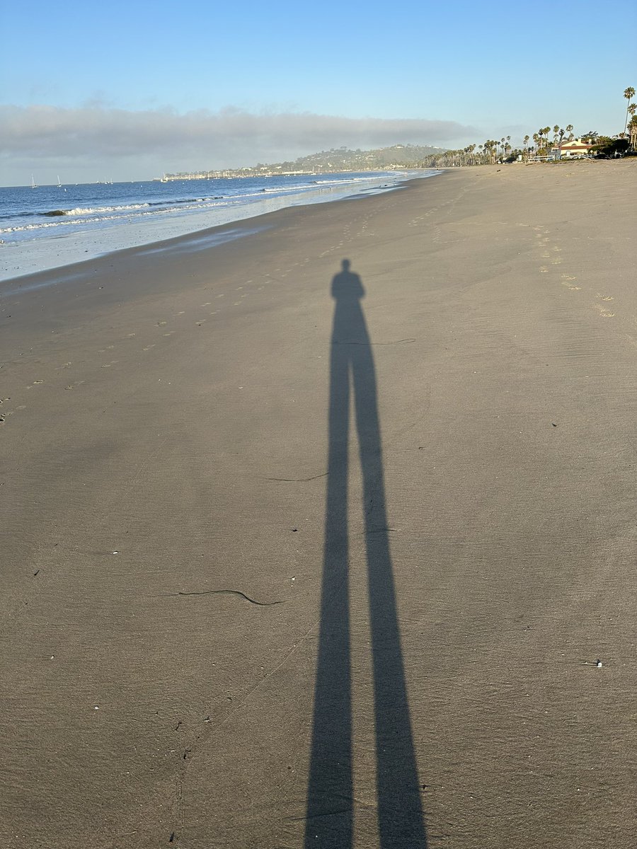 T.C. Boyle tweet media