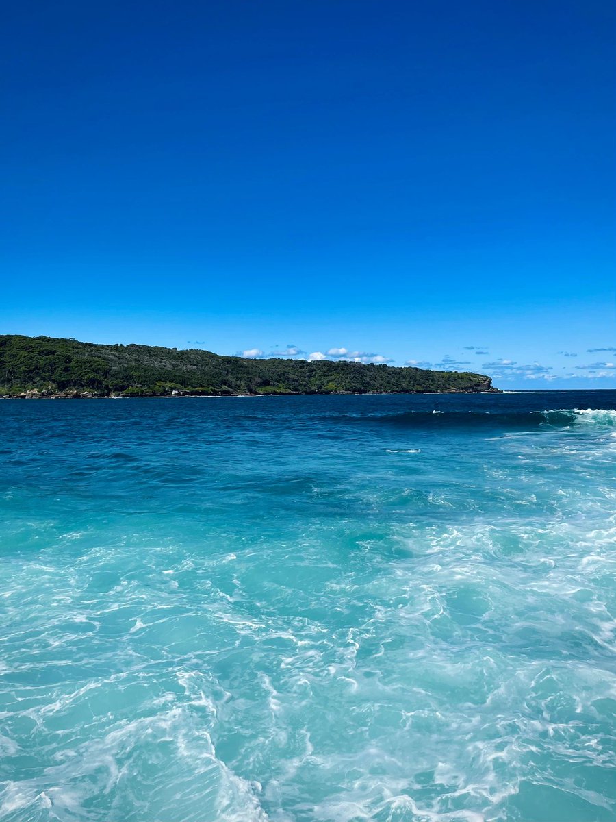 AnnaWojj's tweet photo. AUSTRALIA｜Life advice: Seeing more ocean and lazing around is good for prolonging life. Nature's MASTERPIECE sometimes feels like blasphemy in any words #SydneyTravel #SydneyBeaches #SydneyNicheBeaches #AustralianBeaches #LaPerouse https://t.co/uzRRVjH1Gf