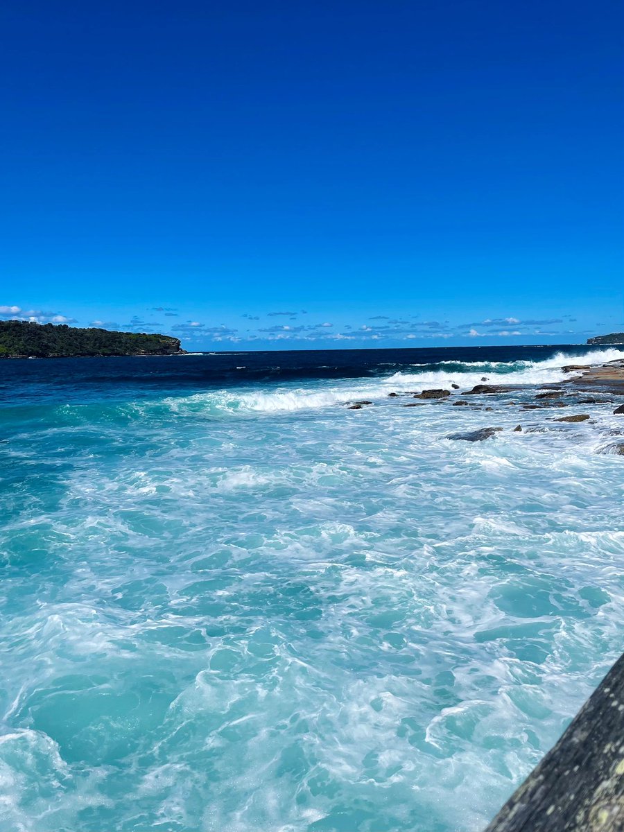 AnnaWojj's tweet photo. AUSTRALIA｜Life advice: Seeing more ocean and lazing around is good for prolonging life. Nature's MASTERPIECE sometimes feels like blasphemy in any words #SydneyTravel #SydneyBeaches #SydneyNicheBeaches #AustralianBeaches #LaPerouse https://t.co/uzRRVjH1Gf