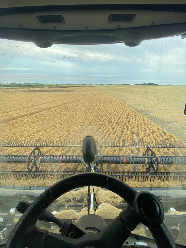 Jordon77's tweet photo. Harvest has started at @FarmLynch ranch. Starting with some lg green lentils. https://t.co/LBbW7C1VbX