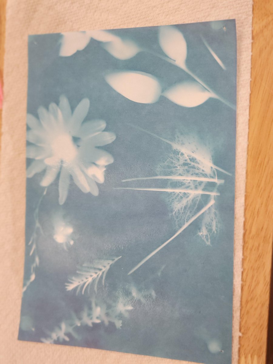 We're putting the A in STEAM! 

At a recent summer camp session, the Mobile Makerspace tried their hand at making sun prints.  Pretty cool, right!?!

#STEMOregon #printmaking #science