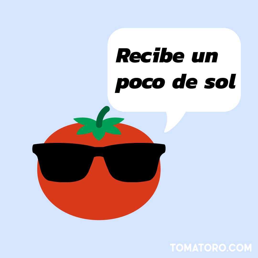 mytomatoro's tweet photo. Conéctate con la naturaleza en tus descansos. Tomatoro te ayuda a recordar cuándo es el momento

https://t.co/YvsYWxTFfj

#bienestar #salud #saludMental #pomodoro #vibrandoAlto https://t.co/GgDBkhuq67