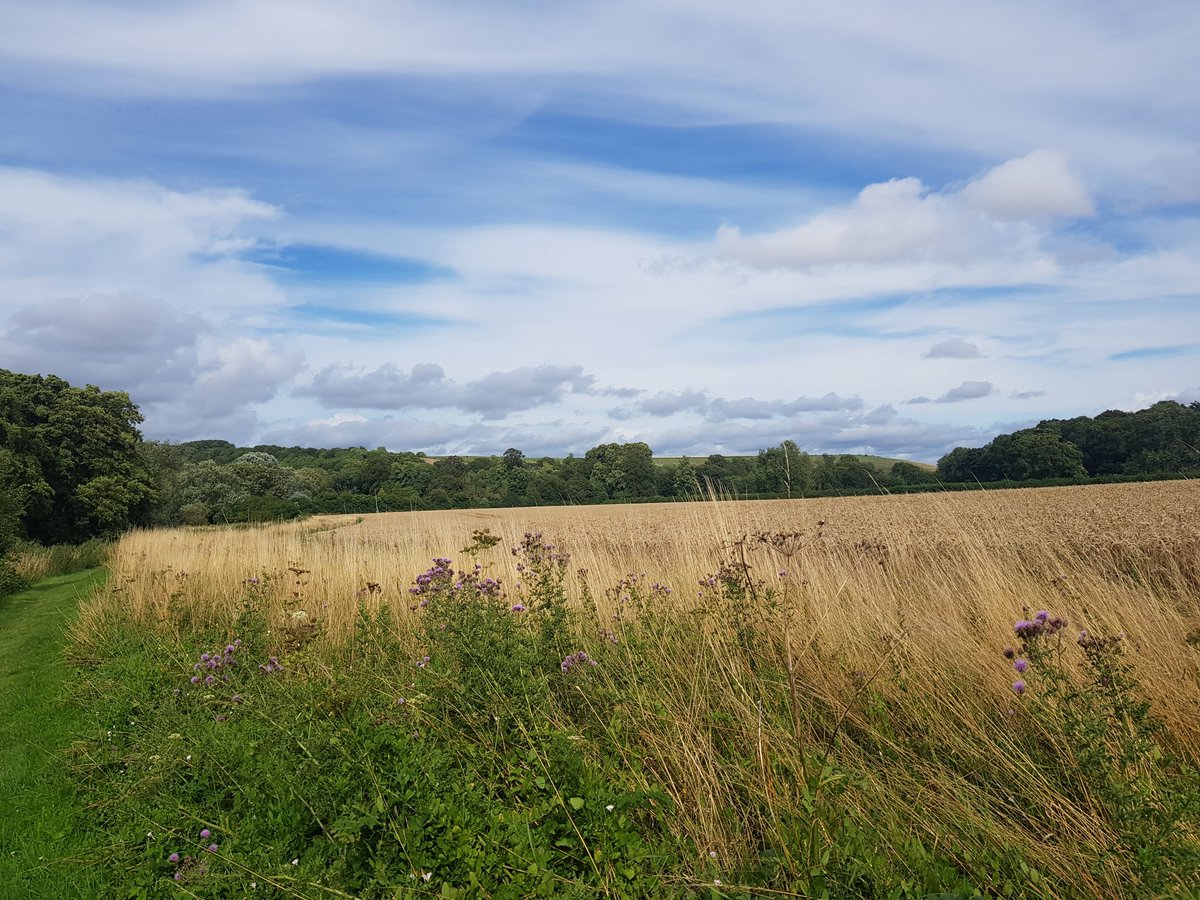 TheHistoryMouse's tweet photo. Heading back towards #Codford to cross the river for a last time and skitter (fast) across the A36. In the far distance a ridge of hills that separates the valley from the MOD at Salisbury plain. It runs to Warminster bearing hillforts and bowl barrows #SherringtonToCodford (4/6) https://t.co/00z4ZnlGfh