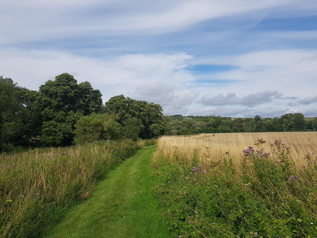 TheHistoryMouse's tweet photo. Heading back towards #Codford to cross the river for a last time and skitter (fast) across the A36. In the far distance a ridge of hills that separates the valley from the MOD at Salisbury plain. It runs to Warminster bearing hillforts and bowl barrows #SherringtonToCodford (4/6) https://t.co/00z4ZnlGfh