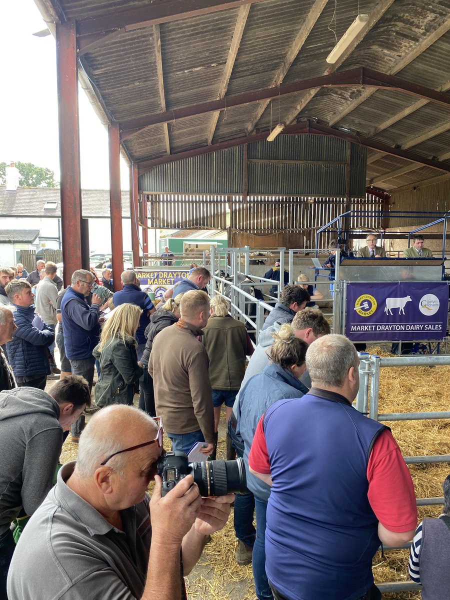 merfynparry's tweet photo. Good trade on excellent cows in Hendrerwydd Farm Ruthin today
@marketdratonmarket
#milkingcows
#welshfarming
#farmerweekly https://t.co/U9AvloPSDr