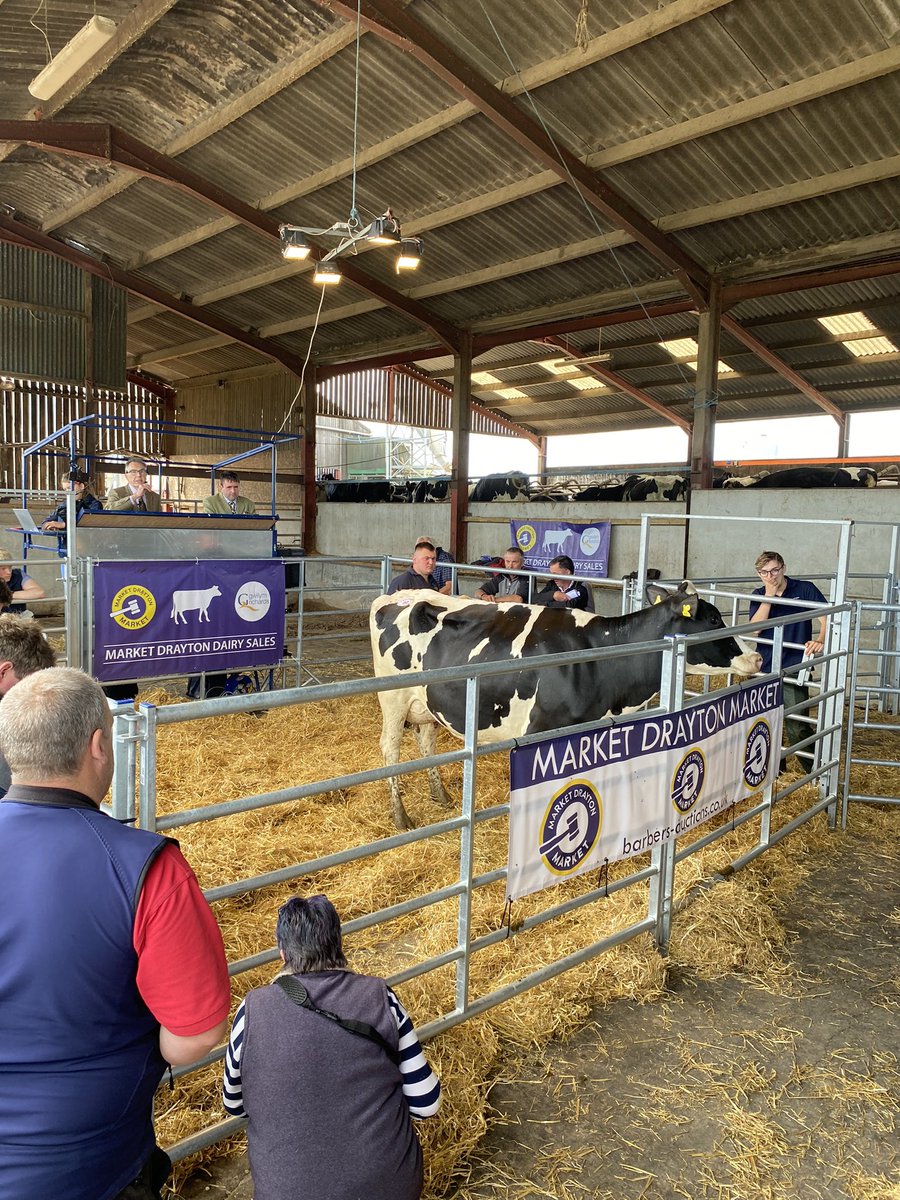 merfynparry's tweet photo. Good trade on excellent cows in Hendrerwydd Farm Ruthin today
@marketdratonmarket
#milkingcows
#welshfarming
#farmerweekly https://t.co/U9AvloPSDr