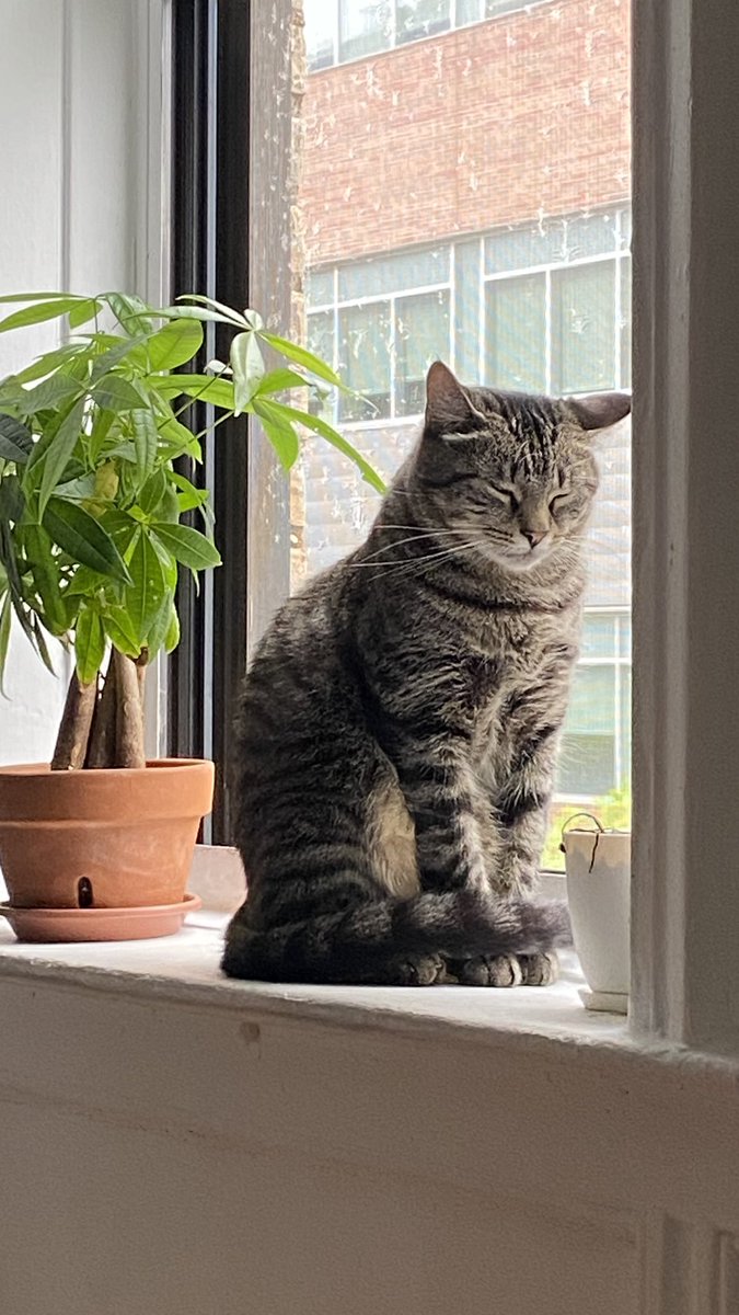 Sancho (and Polina) tweet media