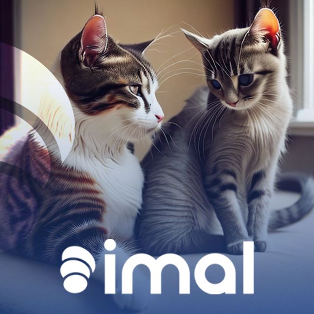imal_io's tweet photo. 📢 A big day! We are taking a fantastic step for our project. Today, we are signing contracts with 3 major pet networks! While meeting the needs of our pets, we will also support animal shelters and organizations. Together, we are stronger! 🐾💙 #AnimalProject #Pets #AnimalShelters #imal #imalproject