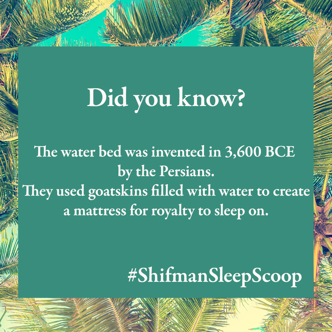 ShifmanMattress's tweet photo. #anniversary #130years #tradition #handmade #quality #factory #celebration #mattress #luxury #shifmandifference #picoftheday #Newark #NJ #madeintheUSA #sleepscoop #didyouknow #water #bed https://t.co/zPxEbbbCBg