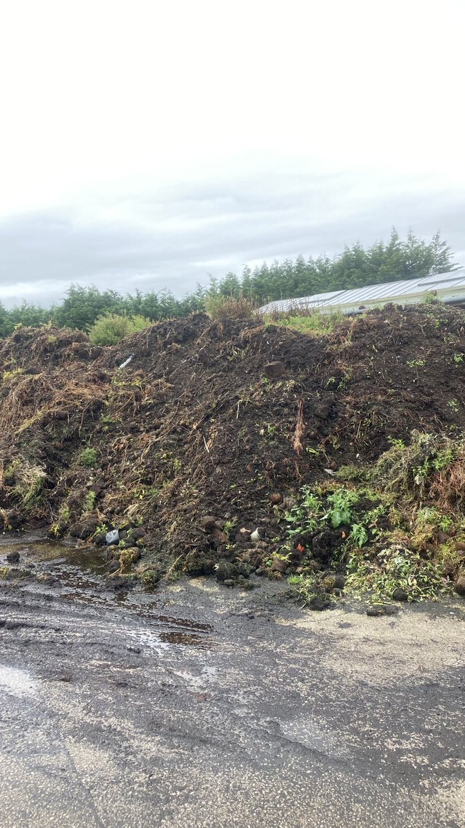 CharlesBewley2's tweet photo. Got this pile of waste peat compost I want to reuse. Has anyone out there got soil steaming equipment, elevator, etc? #recycle #donotwaste #horticulture #growing https://t.co/KCzTbAncI0