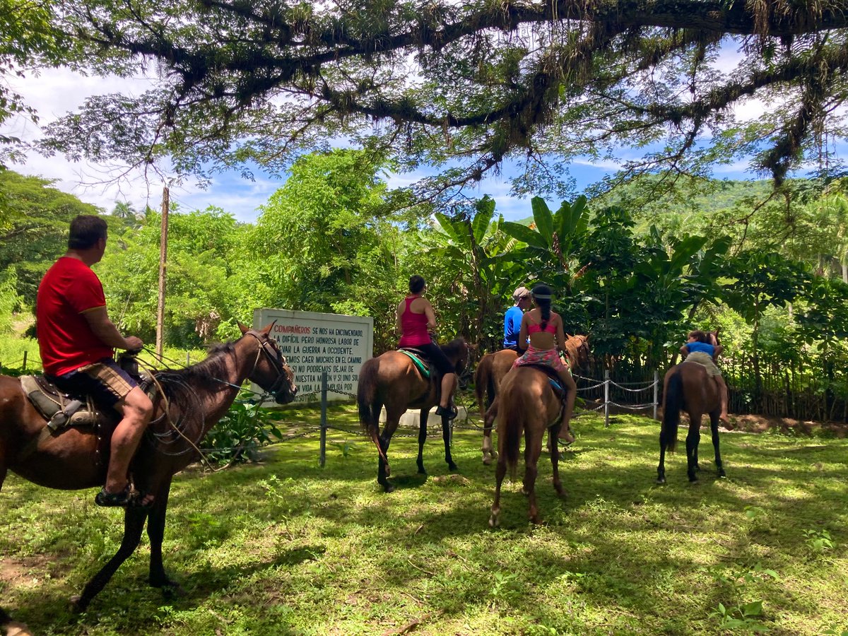 AnleyRosales's tweet photo. Farmer’s life tour. Discover the off the beaten path local life, farms, food, natural pools, organic production of honey and more 
.
.
.
.
 #cuban #revolution #history #nature #farmers #life #tour #cuba #farmerslifetour #bayamotravelagent #sierramaestracuba #horsebackriding #Cuba https://t.co/787H8OUo9m