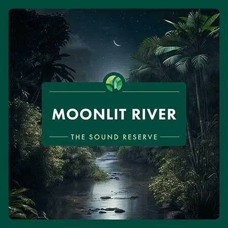 thesoundreserve's tweet photo. Introducing our latest album, 'Moonlit River'. This stunning album captures the gentle lullaby of a river meandering through The Amazon jungle at night, accompanied by a vibrant insect chorus. Now on Spotify and all other music streaming platforms: https://t.co/jrTCRV97PS https://t.co/PPBqK4IFAp