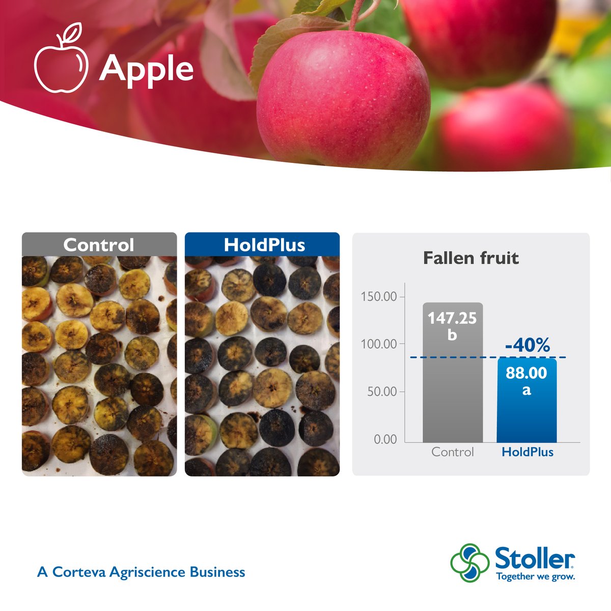 StollerEurope's tweet photo. #HoldPlus contains cobalt and molybdenum responsible for reducing the high levels of ethylene and the physiological fall of fruits so they stay on the tree for longer without losing quality or firmness. 🍎 📈
We show you some results in different crops!
https://t.co/78QQPzaeWZ https://t.co/9s43SiNeE3
