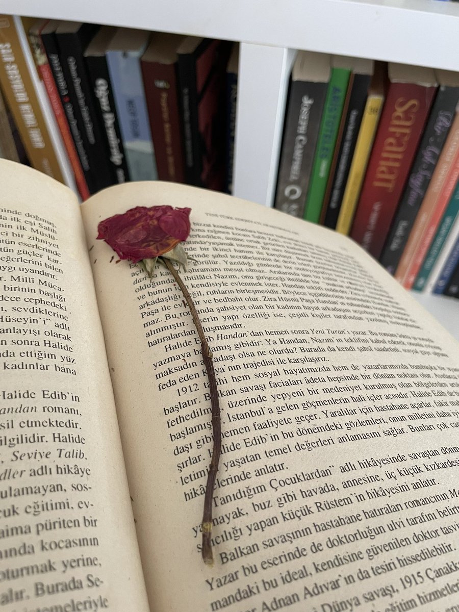 Bu ayın güzelleri🌸
Uzun zaman sonra bir sahaftan kitap aldım. Sürpriz sonlu🥹